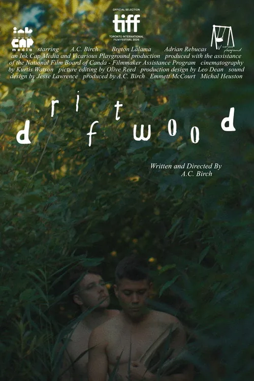 Driftwood