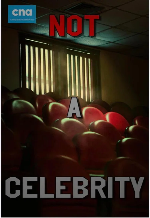Not A Celebrity