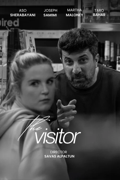 The Visitor