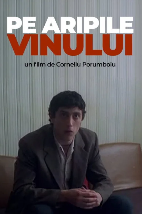 Pe aripile vinului