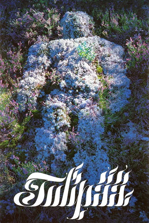 Tulipää