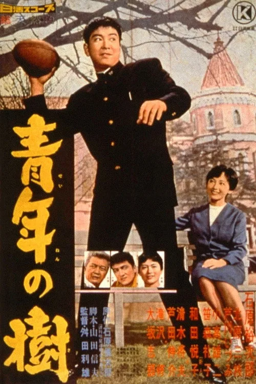 青年の樹