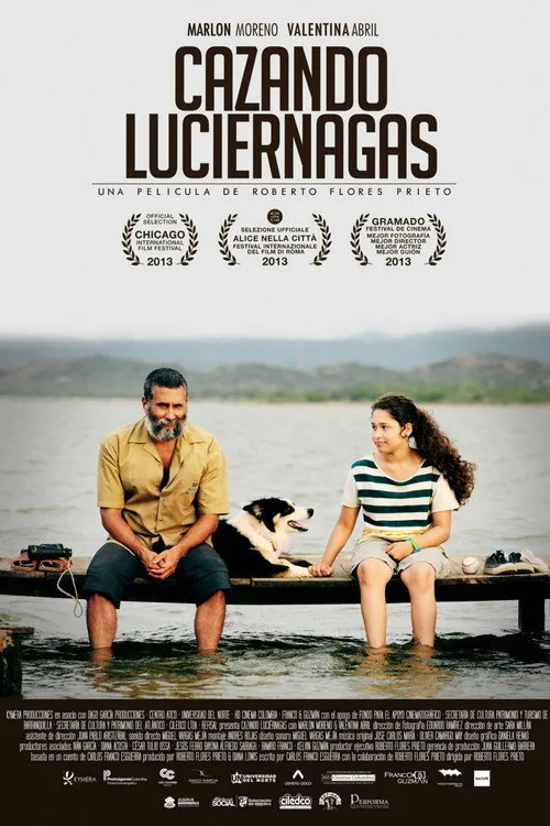 Cazando luciernagas