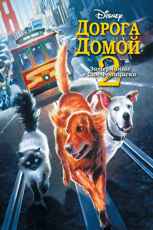Homeward Bound II: Lost in San Francisco