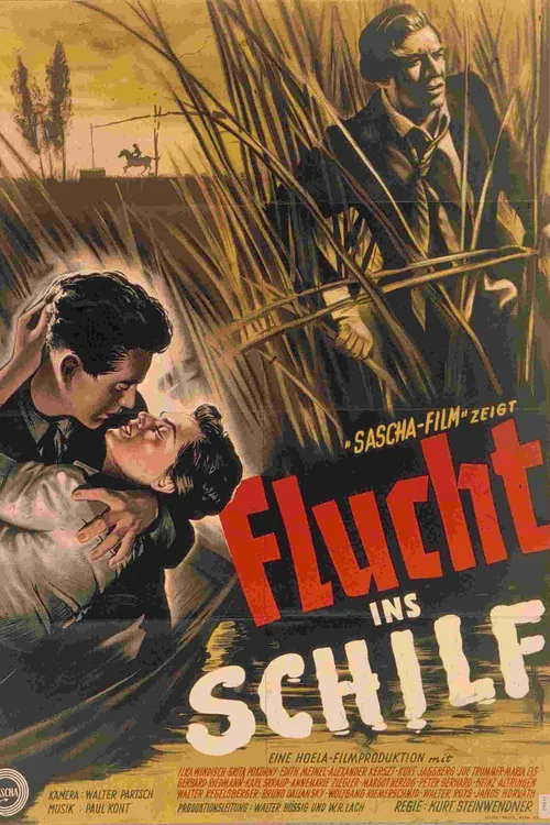 Flucht ins Schilf