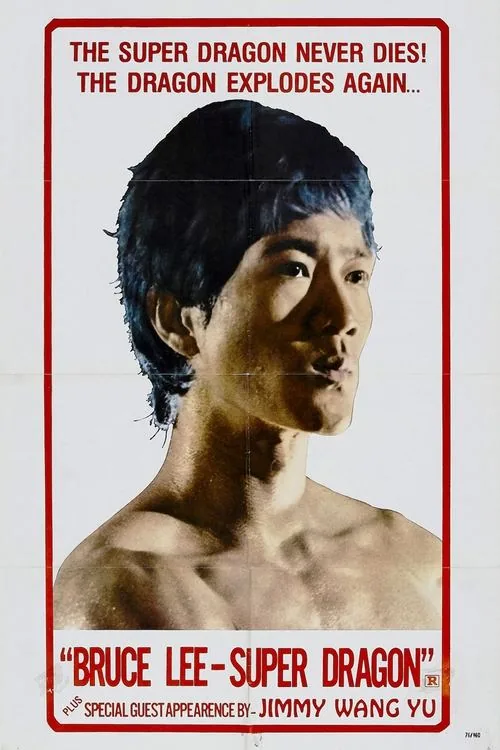 Die Bruce Lee Story