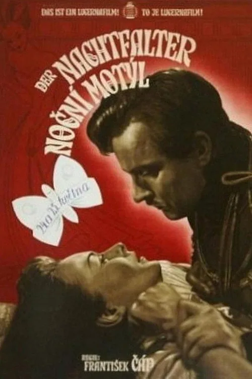 Noční motýl