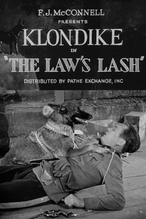 The Law's Lash