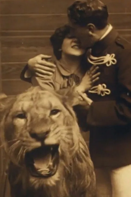 Love Amongst the Lions