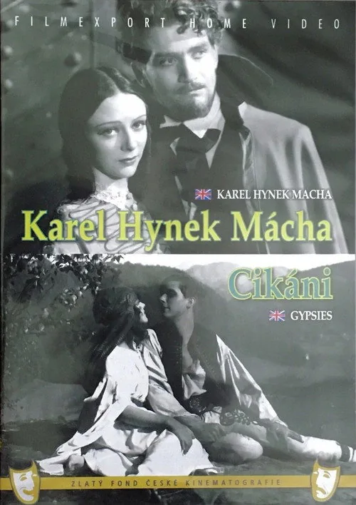 Cikáni