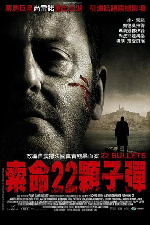 22 Bullets