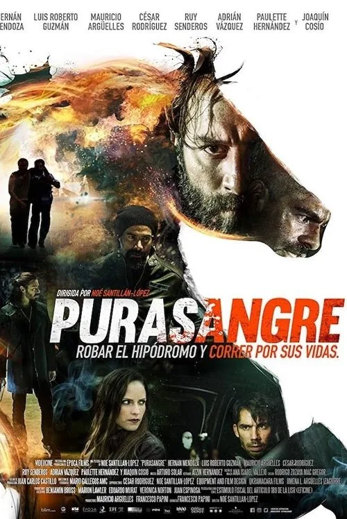 Purasangre
