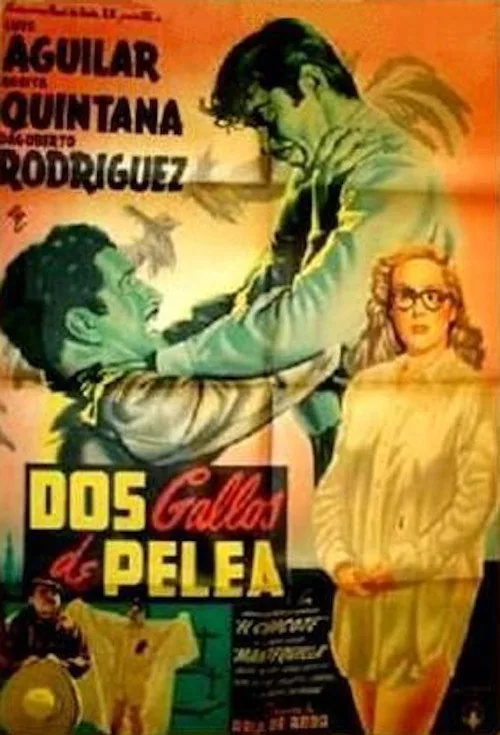 Dos gallos de pelea