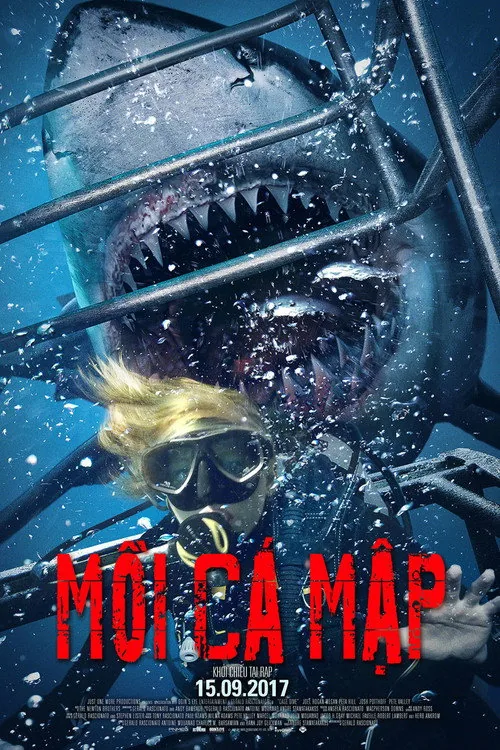 Open Water - Cage Dive