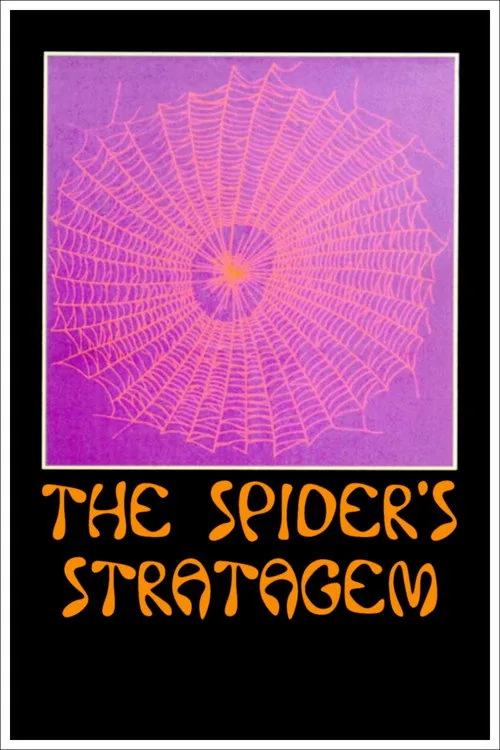 Die Strategie der Spinne