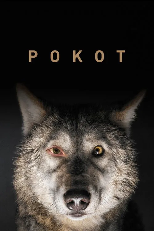 神秘獵殺