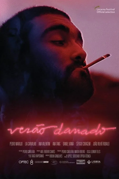 Verão Danado