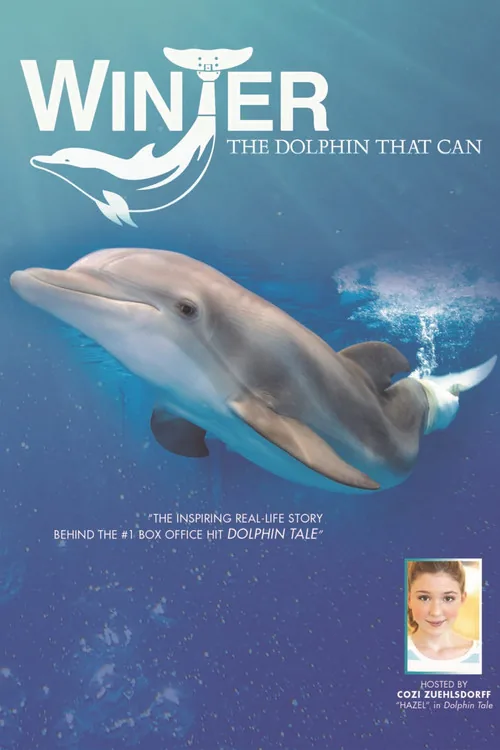 Winter, the Dolphin That Can