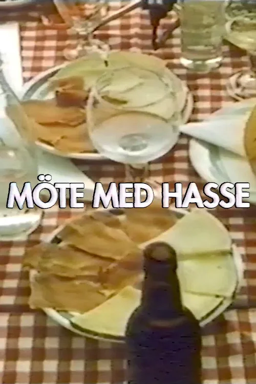Meeting with Hasse