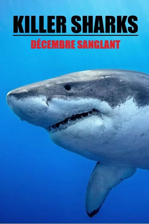 Killer Sharks : décembre sanglant