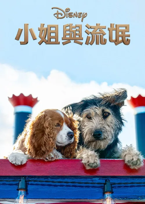 小姐與流氓