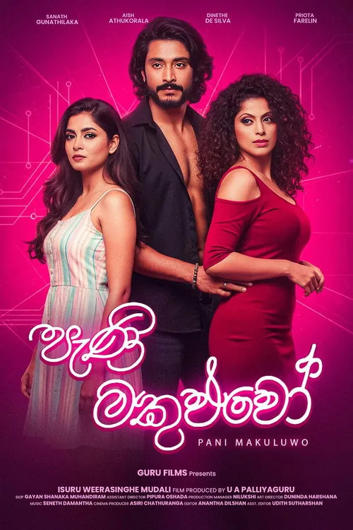පැණි මකුළුවෝ