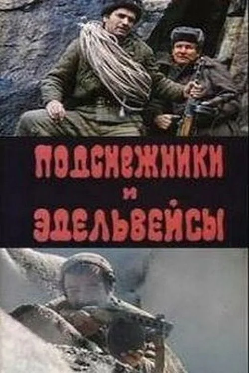 Ձնծաղիկներ և էդելվեյսներ