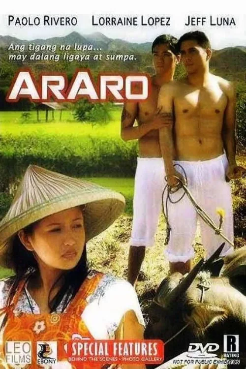 过客