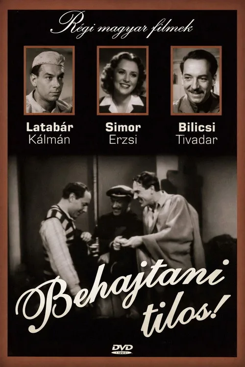 Behajtani tilos