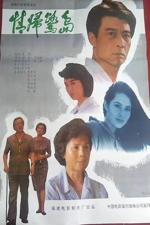 情归鹭岛