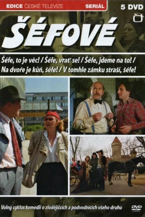 Šéfe, to je věc!