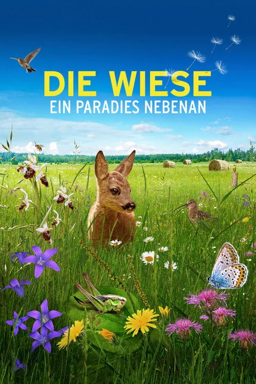 Die Wiese: Ein Paradies nebenan