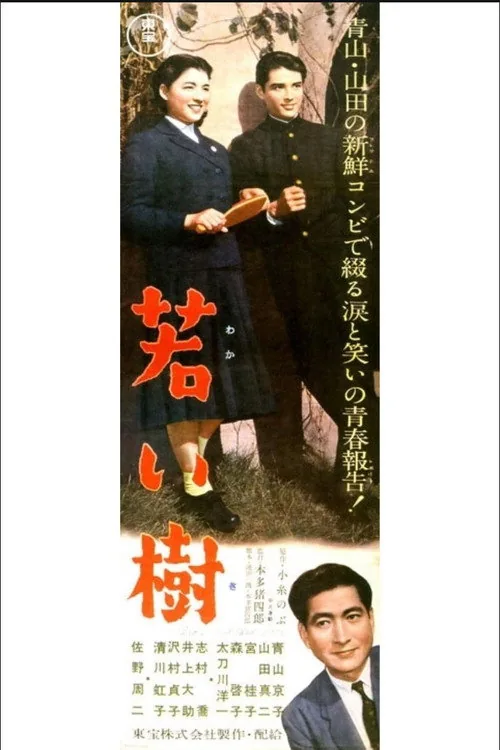 若い樹