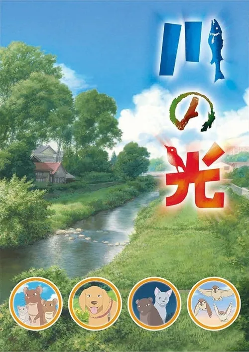 川の光