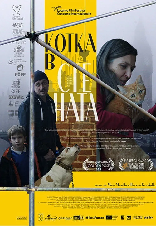 Кот в стене