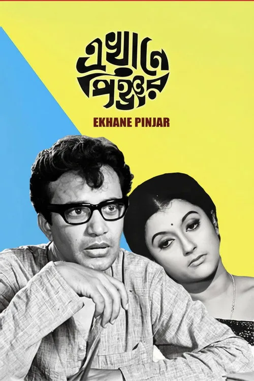 এখানে পিঞ্জর