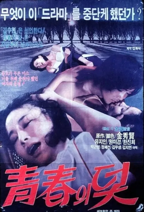 청춘의 덫