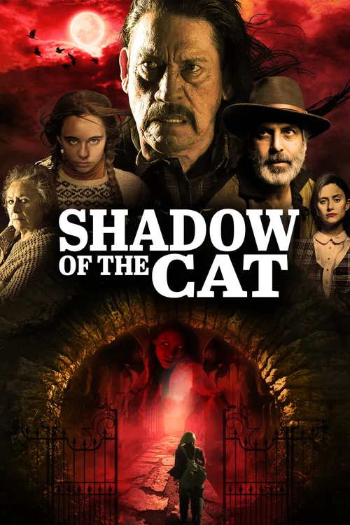 La sombra del gato
