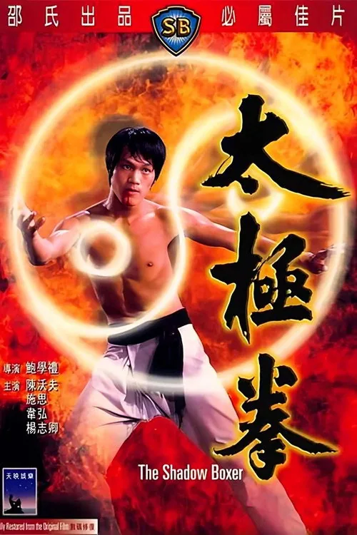 The Shadow Boxer