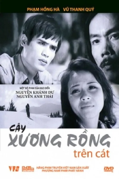 Cây Xương Rồng Trên Cát