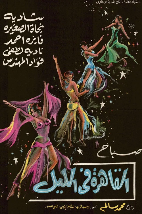 القاهرة في الليل