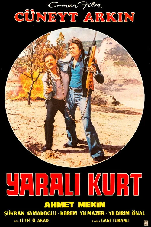 Yaralı Kurt