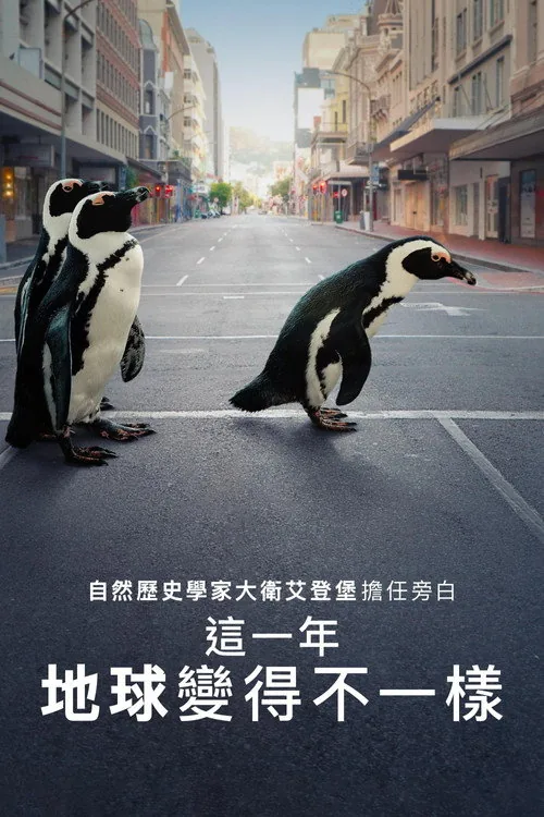 這一年，地球變得不一樣