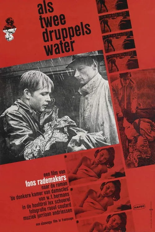 Comme deux gouttes d'eau