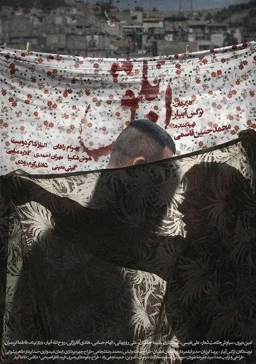 ابلق