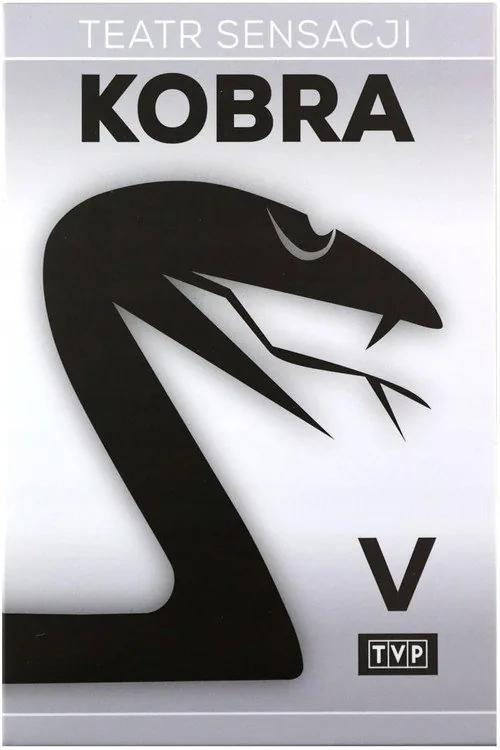 Za Kurtyną