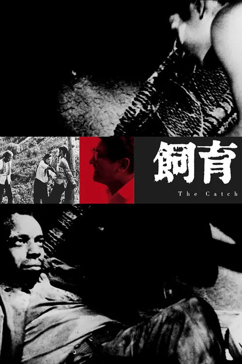 飼育