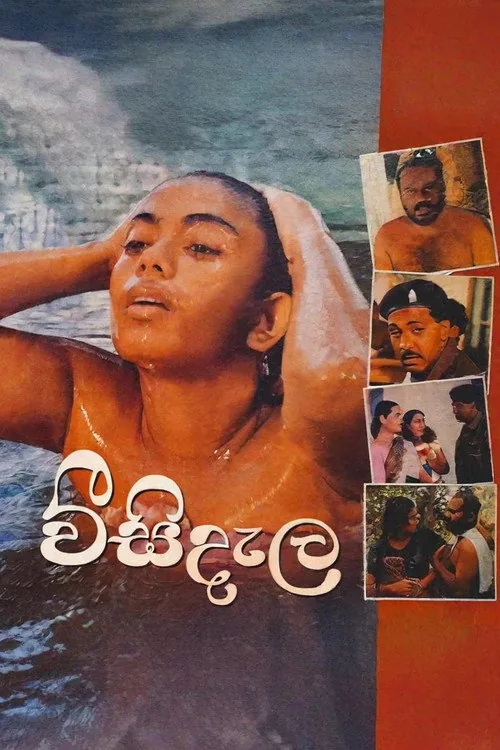 වීසි දැල