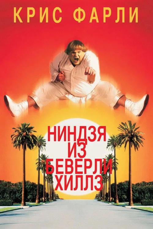 Beverly Hills Ninja