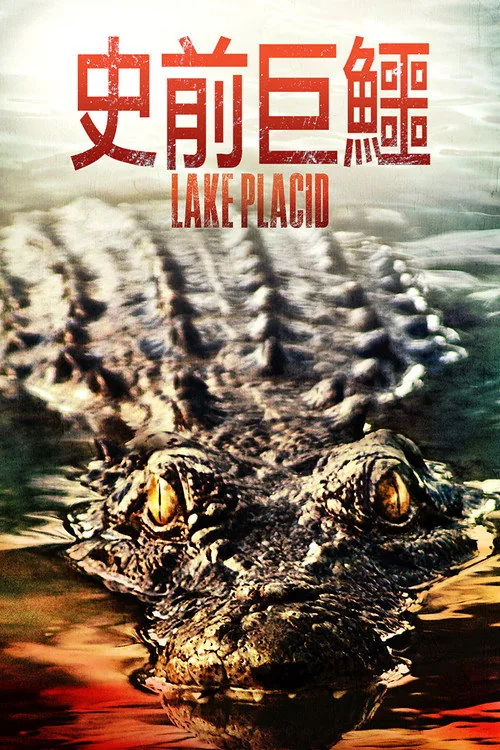 플래시드